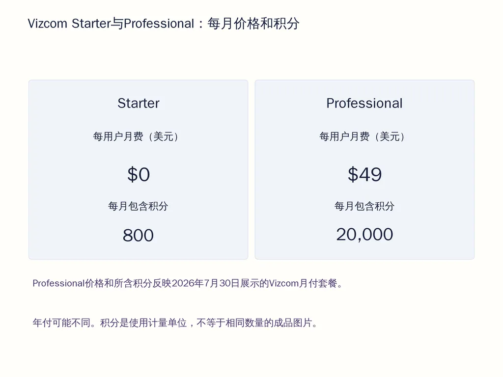 Vizcom Starter与Professional：每月价格和积分