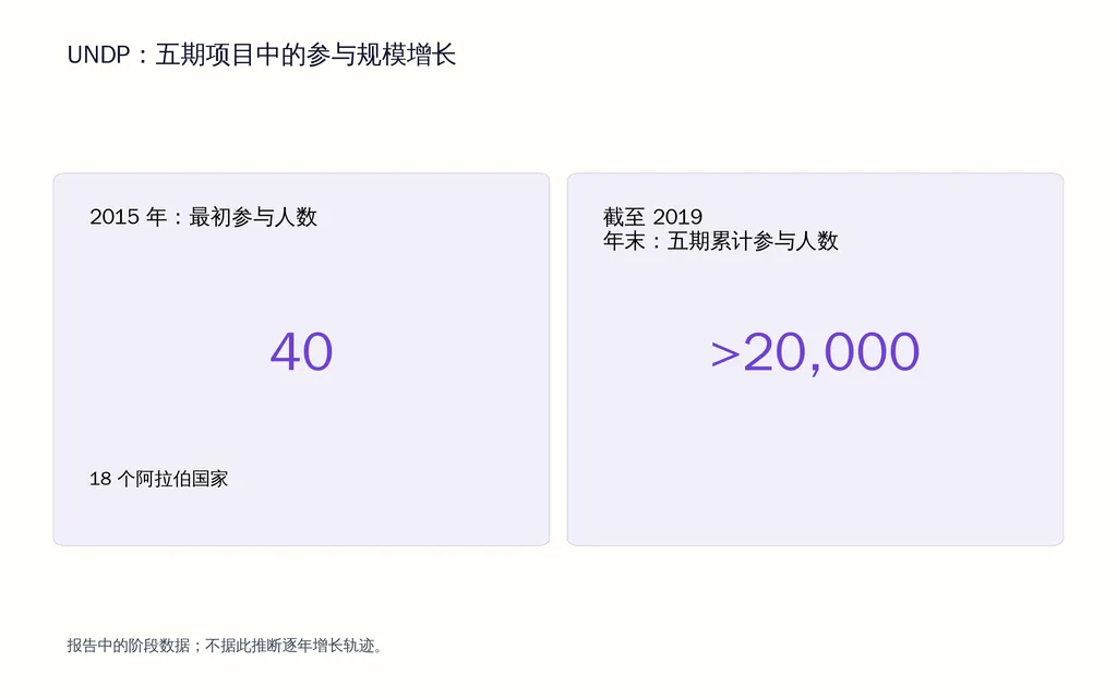 UNDP：五期项目中的参与规模增长