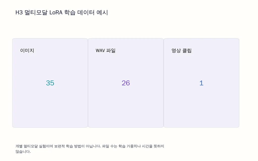 H3 멀티모달 LoRA 학습 데이터 예시