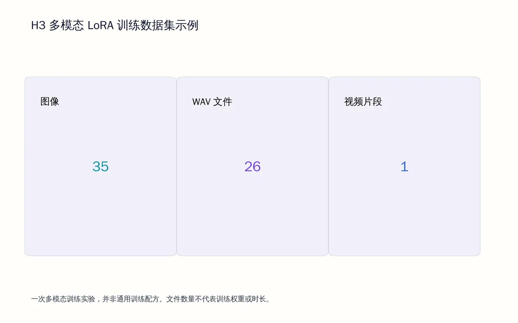 H3 多模态 LoRA 训练数据集示例