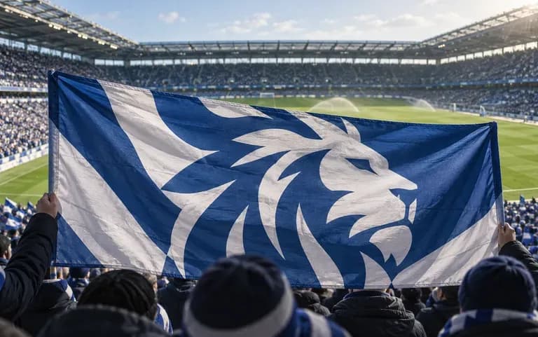 A supporters' flag in club colors