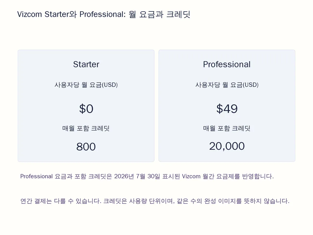 Vizcom Starter와 Professional: 월 요금과 크레딧